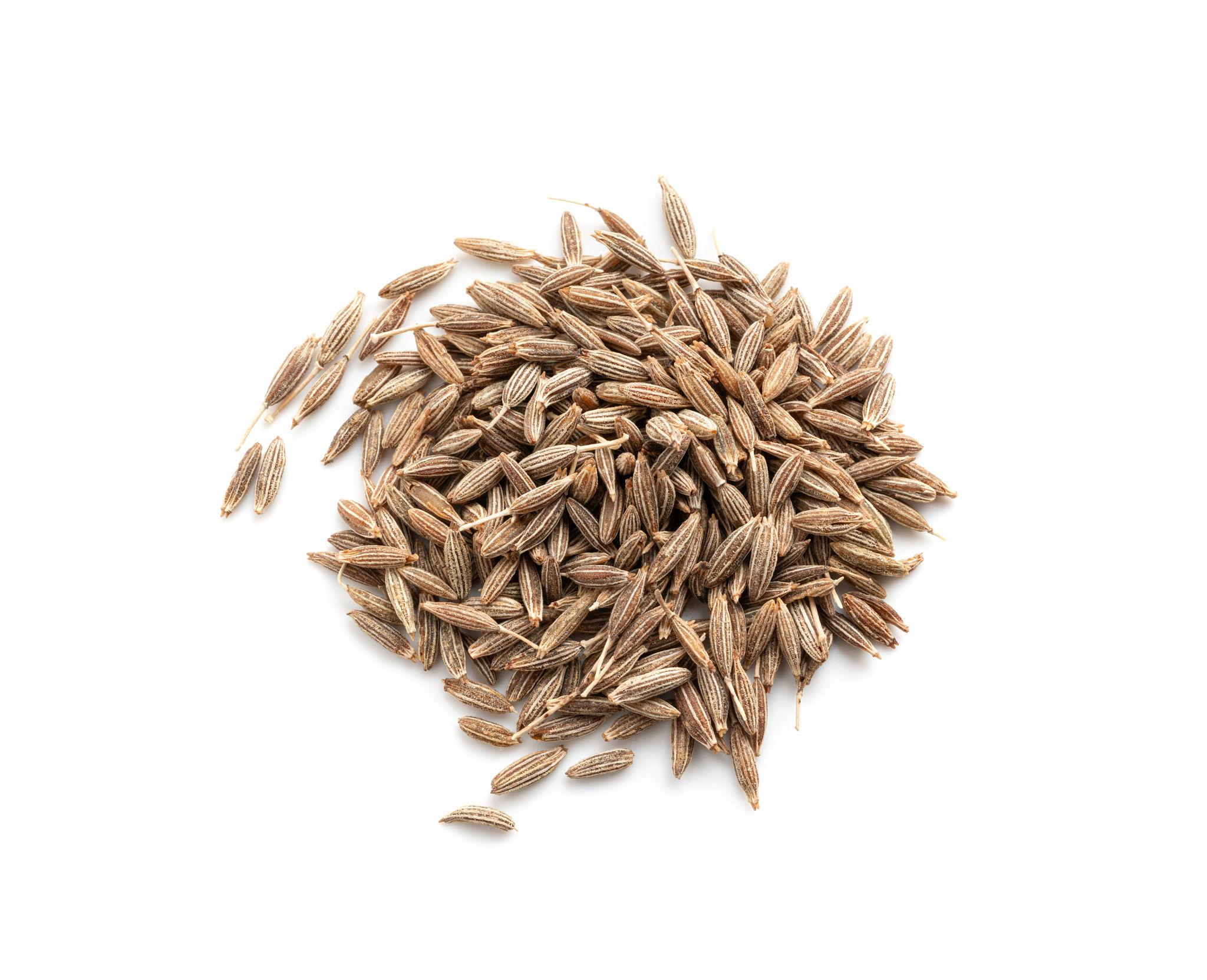 Indian Cumin Seeds