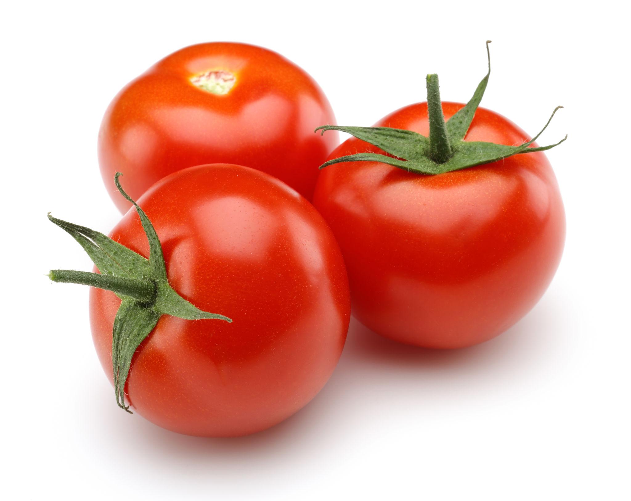 Fresh Tomato